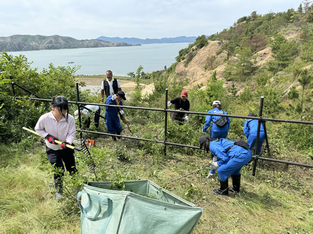 2024-05-30 研究区画の枯れた松を取り除き、重機で運ぶ様子 1