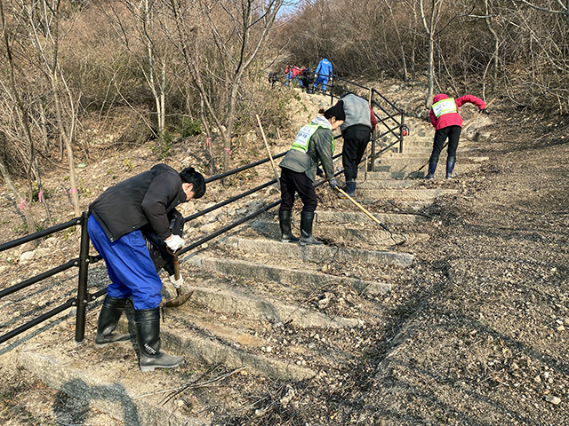 NGP香川県豊島　環境保全・再生活動