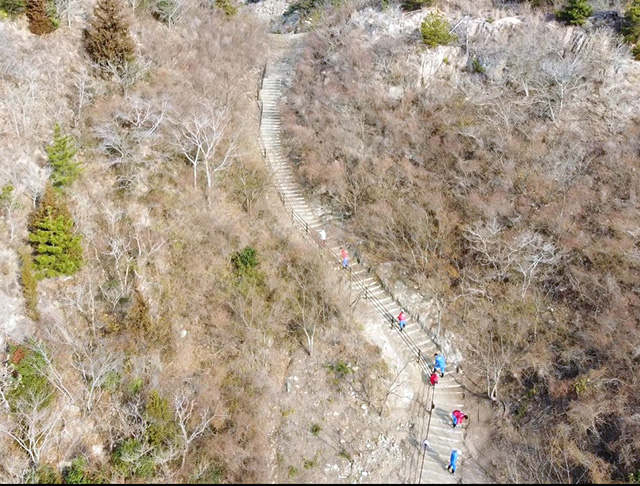 NGP香川県豊島　環境保全・再生活動